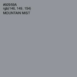 #92959A - Mountain Mist Color Image